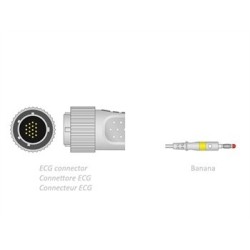 CAVO PAZIENTE ECG 2,2 m -...