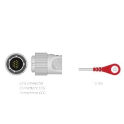 CAVO PAZIENTE ECG 2,2 m -...