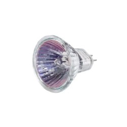 Lampadina 12 v 20 w