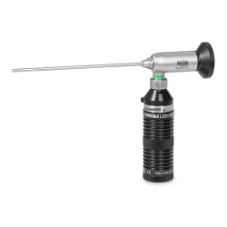 SORGENTE LED FIREFLY